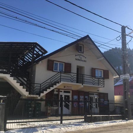 Pensiunea Morosanu Borşa Buitenkant foto