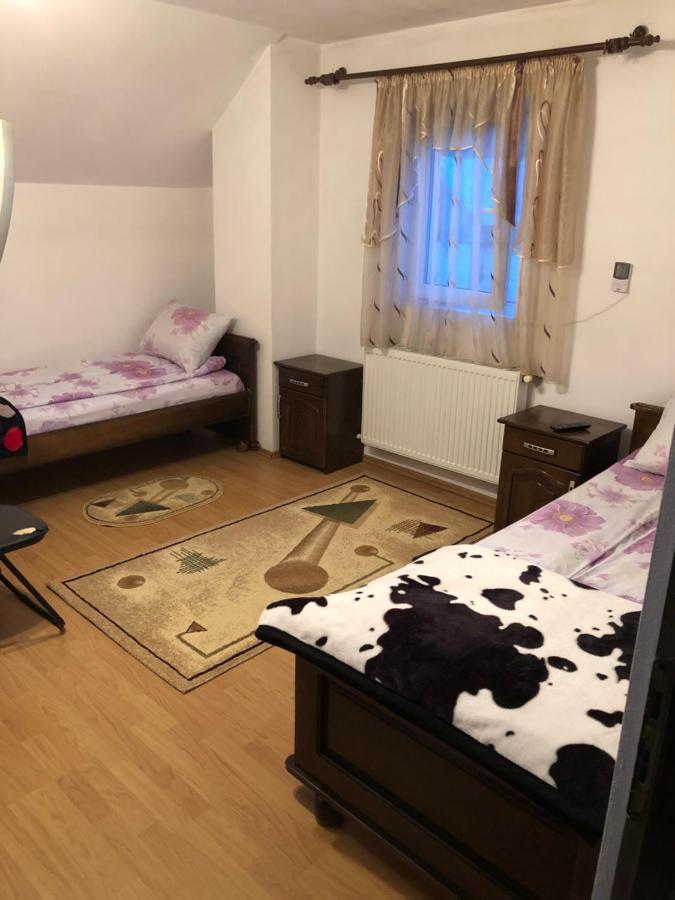 Pensiunea Morosanu Borşa Buitenkant foto
