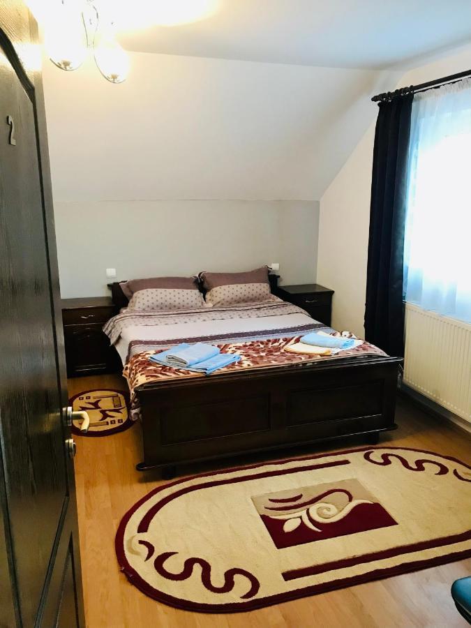 Pensiunea Morosanu Borşa Buitenkant foto