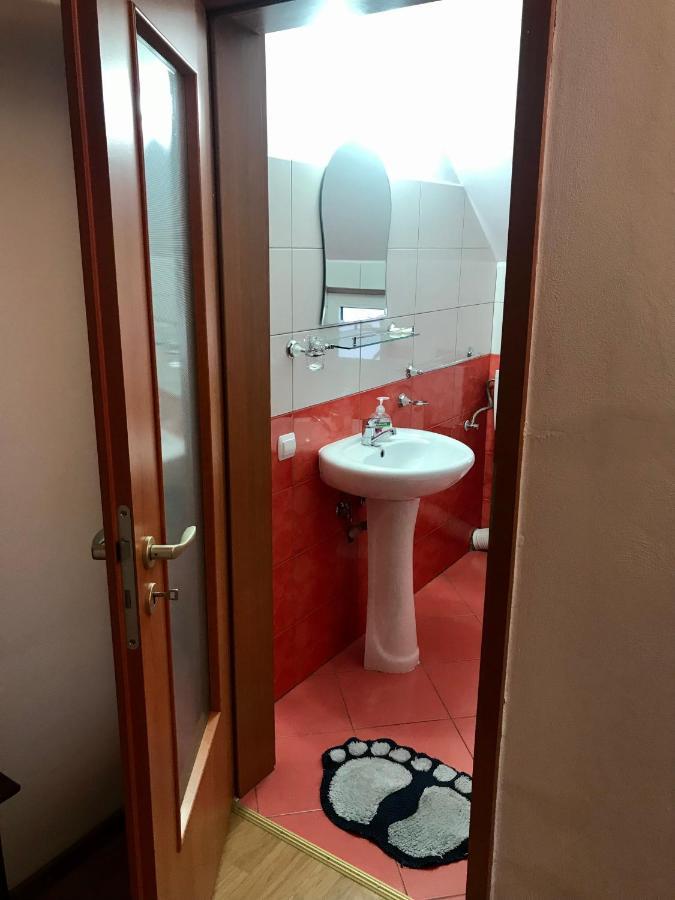 Pensiunea Morosanu Borşa Buitenkant foto