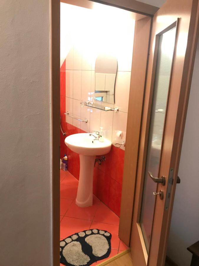 Pensiunea Morosanu Borşa Buitenkant foto