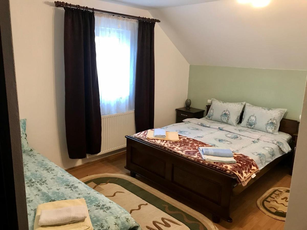 Pensiunea Morosanu Borşa Buitenkant foto